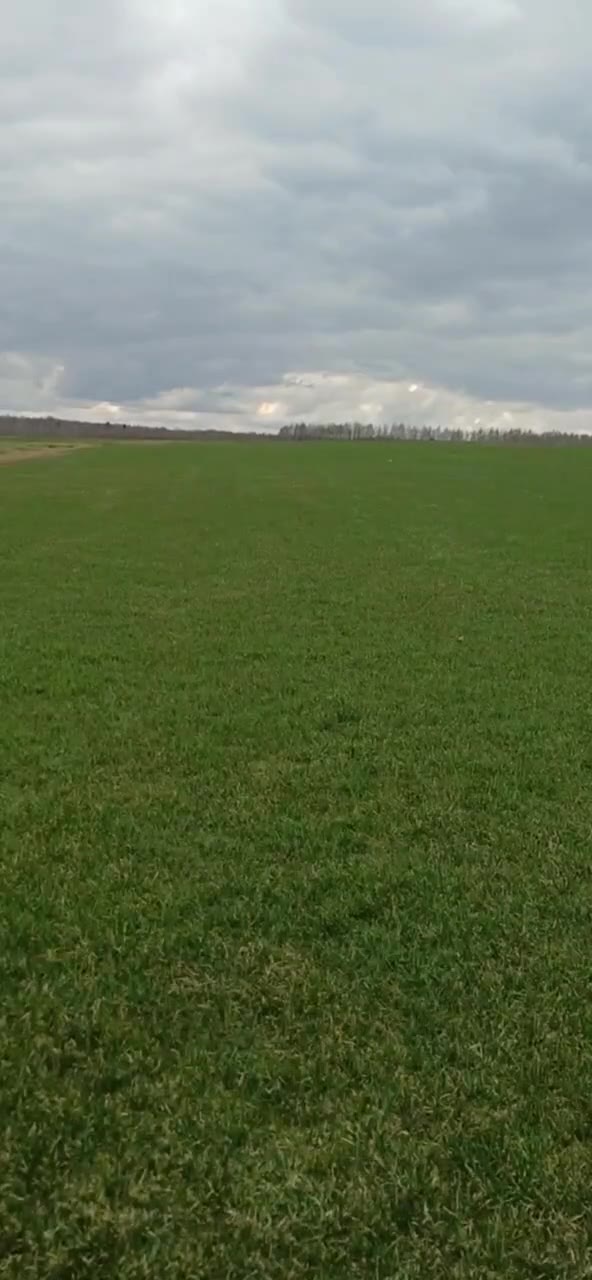 Видео с полей Premier Gazon 08