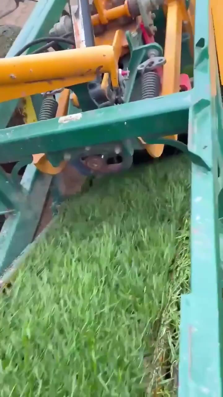 Видео с полей Premier Gazon 10