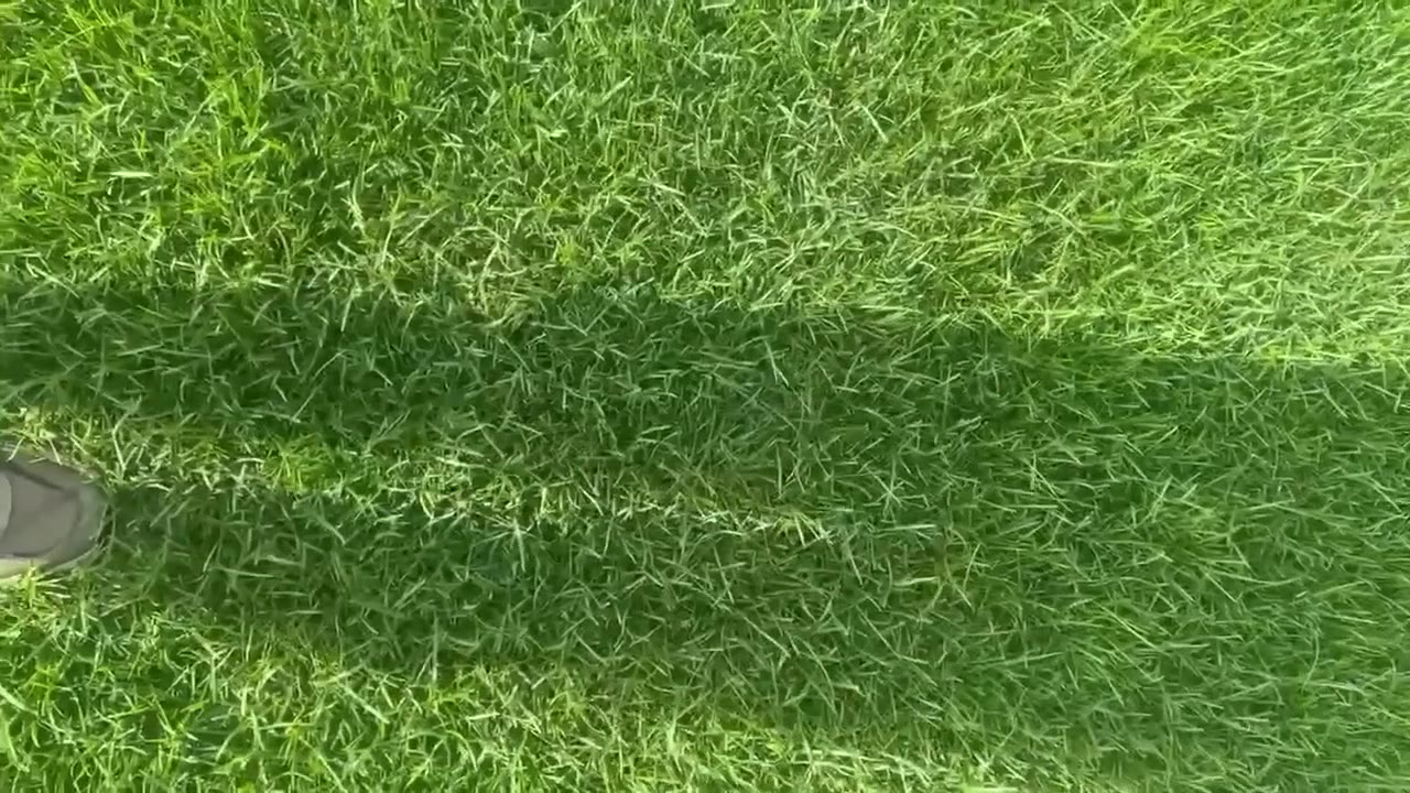 Видео с полей Premier Gazon 18