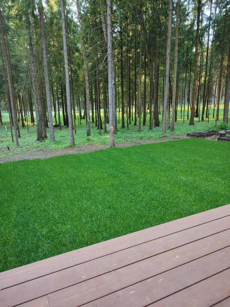 Пример выполненной работы 54
