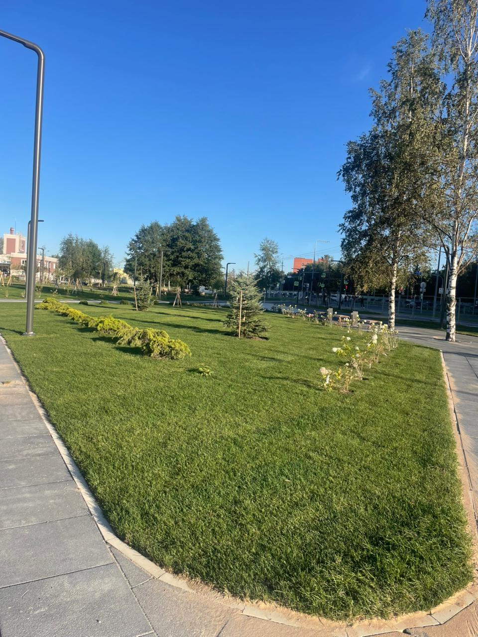 Пример выполненной работы 81