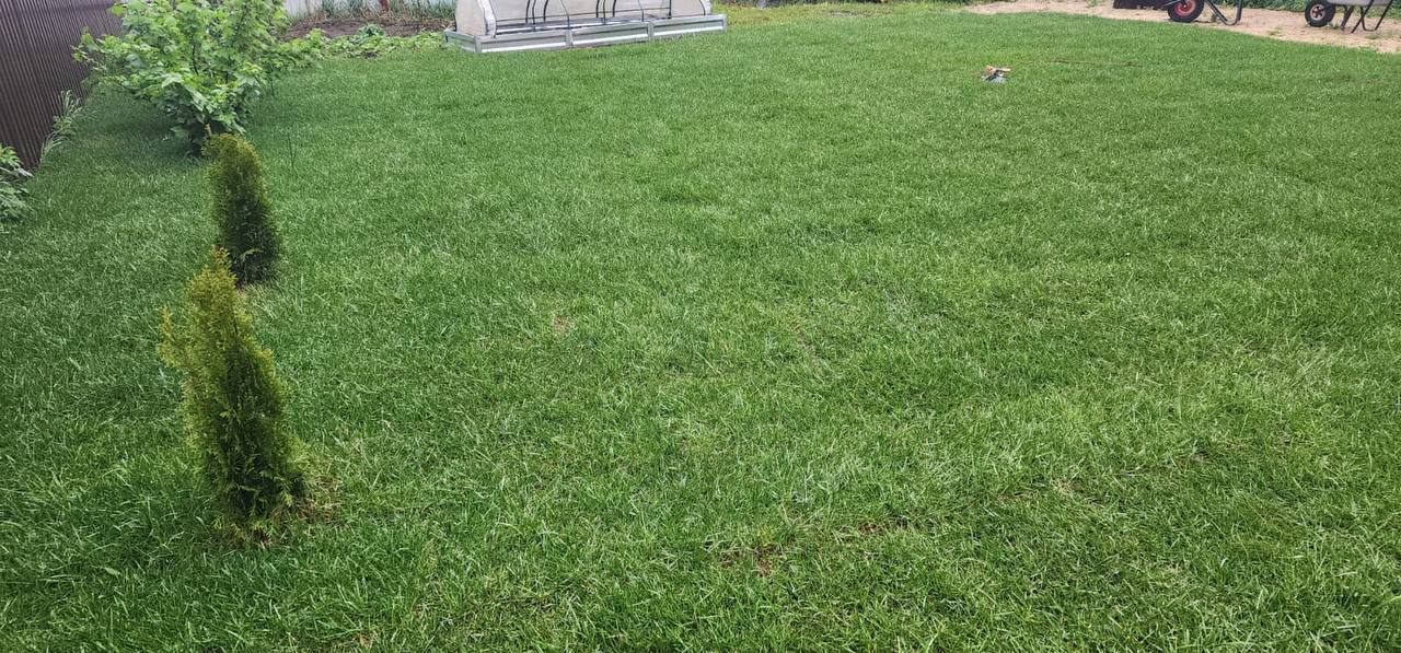 Пример выполненной работы 85